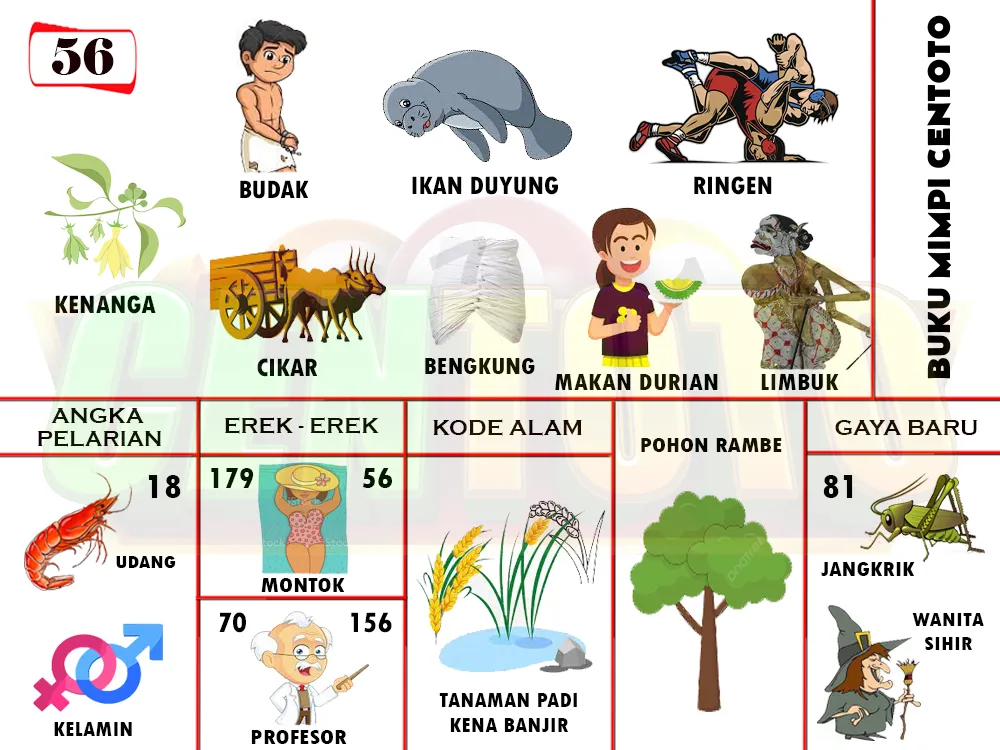 buku mimpi erek erek togel 56